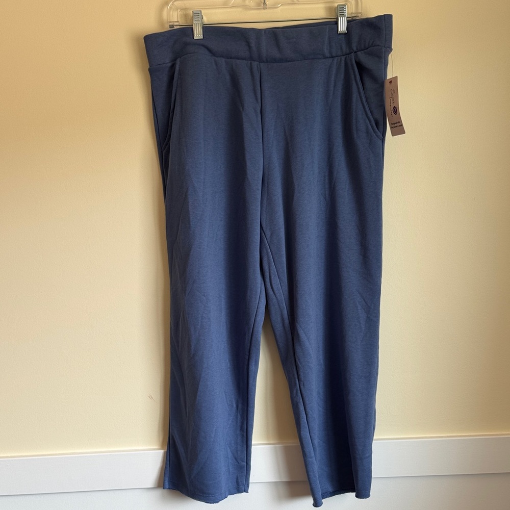 NWT Secret Treasures Blue Lounge Pants Size Large (12-14)